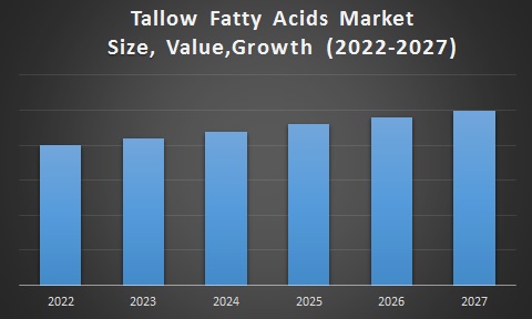 Tallow Fatty Acids Market 